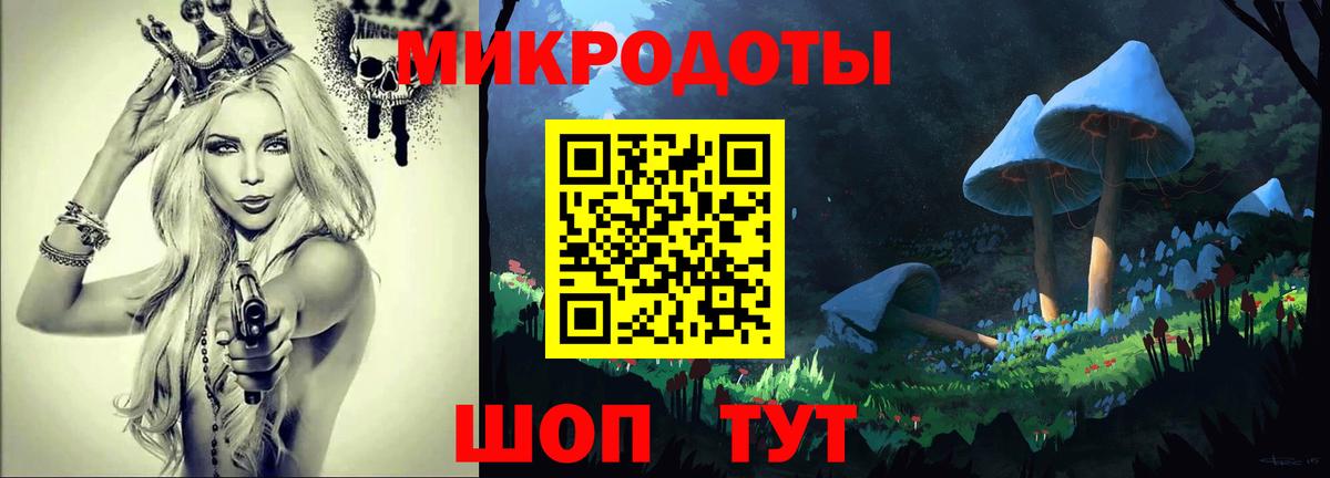дарнет шоп  Псилоцибиновые грибы мицелий  Вход с VPN  Пушкино 