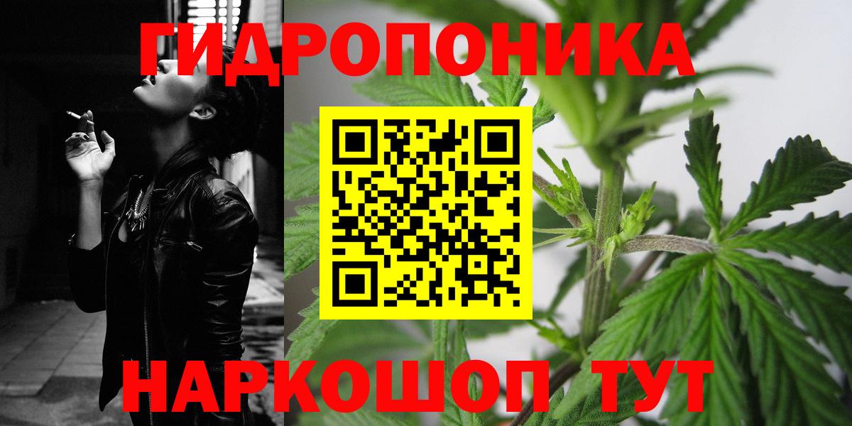 Бошки марихуана SATIVA & INDICA  МАРИХУАНА OG Kush  Пушкино  Марихуана THC 21%  Вход с VPN 